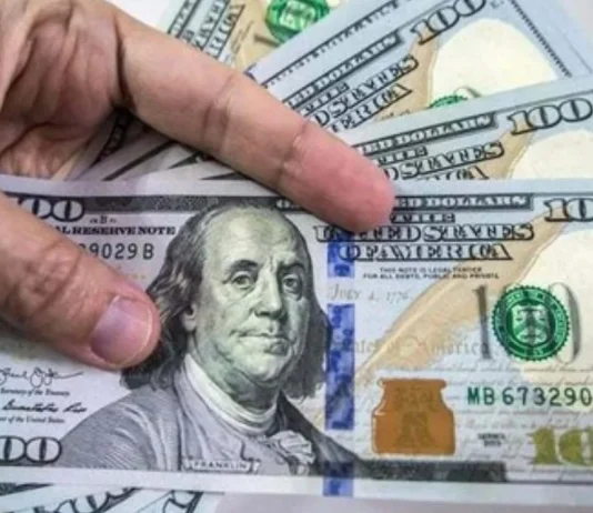 Profit Repatriation: Foreign Companies in Pakistan Record a 44x Surge in Overseas Profit Transfers in January 2024 Public Debt