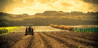 RemoteWell, Godaam Technologies and Digitt+ present Top Ideas at Zar Zaraat agri-startup competition Zar Zaraat