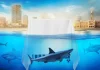 Grenlit Studios Unveils ‘Shark Tank Pakistan’ Logo, Launches the Social Media channels Shark Tank