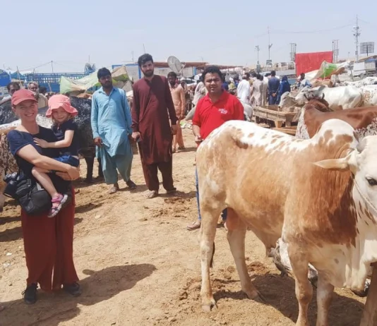 Foreign tourists visited Northern Bypass Cattle Market Northern