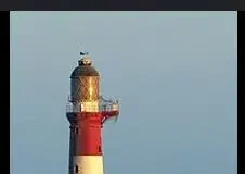 SI Global Solutions becomes first Pakistani company to get membership of IALA SI Global IALA