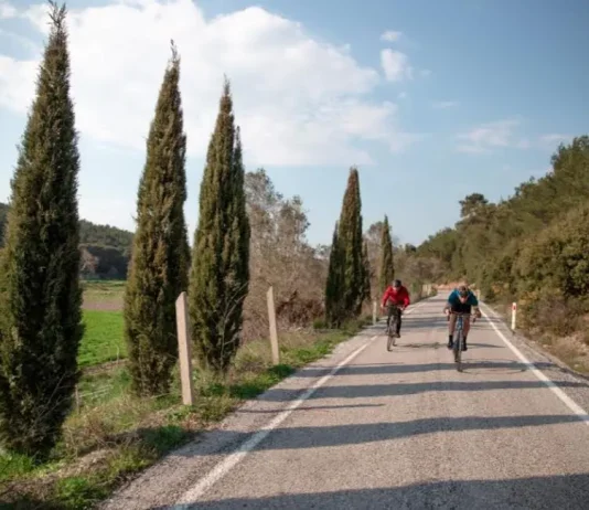 60th Presidential Cycling Tour of Türkiye Showcases Scenic Routes on Global Stage Cycling Tour