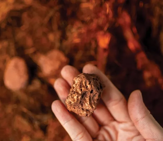 NRL Discovers Significant Copper-Gold Mineralization in Chagai, Balochistan NRL