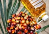 Palm Oil: A Strategic Commodity for Pakistan’s Food Security, Nutrition, and Sustainable Growth Palm Oil