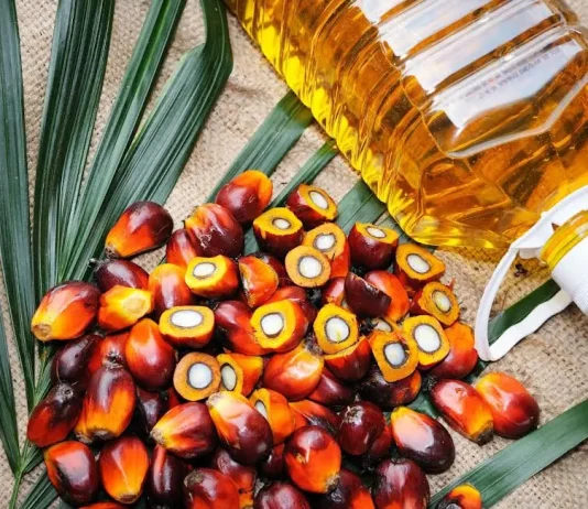 Palm Oil: A Strategic Commodity for Pakistan’s Food Security, Nutrition, and Sustainable Growth Palm Oil