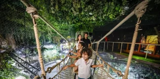 Summer Sorted: Dubai Delivers, Emirates Elevates Dubai Emirates