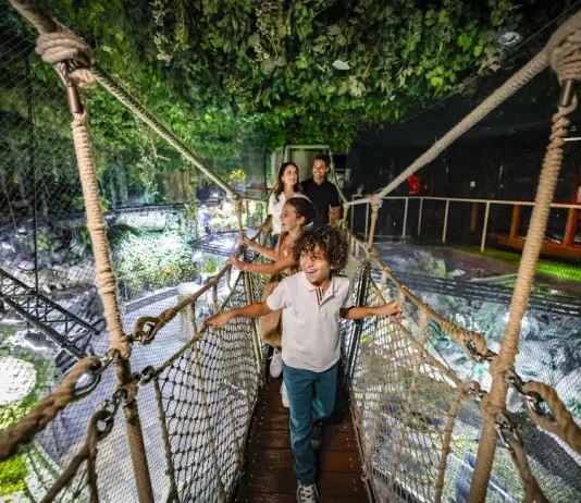 Summer Sorted: Dubai Delivers, Emirates Elevates Dubai Emirates