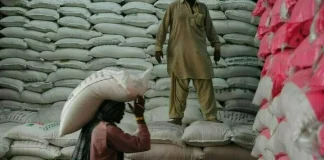 Pakistan tenders to buy 100,000 metric tons of sugar, traders say Tender