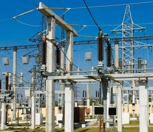 Privatisation of profit-making Discos worries NA committee Discos
