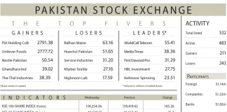 Index sheds gains on privatisation worries Pakistan Stock Exchange