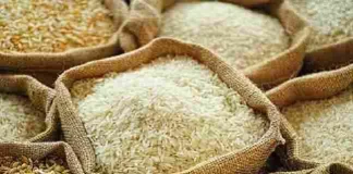 Pakistan’s rice export suffers 15% decline in FY25 Rice