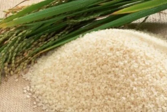 Rice exports to China surge 84% in first half Rice