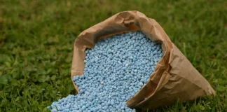 Sindh plans crackdown on fake fertilisers fertilisers