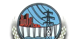 Neelum Jhelum rehab crucial: WAPDA chief WAPDA