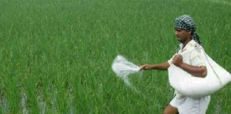 Fertilizer sector: CCP targets cartelisation Fertilizer sector