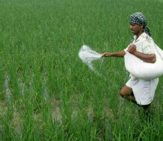 Fertilizer sector: CCP targets cartelisation Fertilizer sector