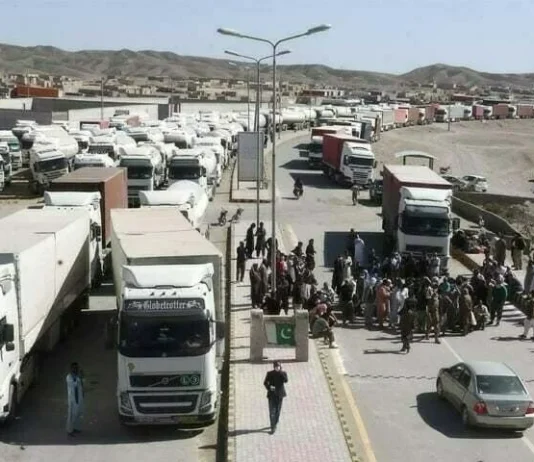 List of items being exchanged for tariff cut: Islamabad, Tehran agree on text of proposed FTA FTA