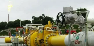 Petroleum sector: Pakistan govt finalising reforms to ease financial distress Petroleum