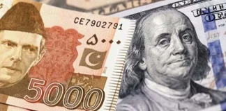 Currency crunch as govt pushes dollar down Rupees Dollars