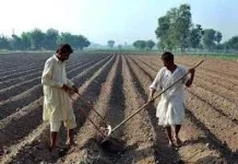 Number of farm households jumps farmland