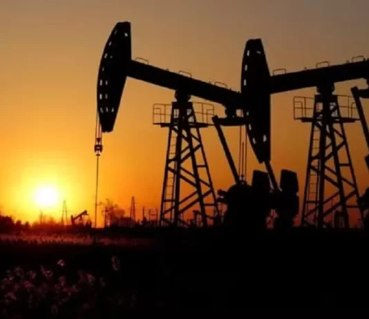 Is Trump’s Claim About Pakistan Having ‘Massive’ Oil Reserves True? Oil