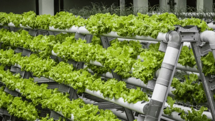 Vertical Farming