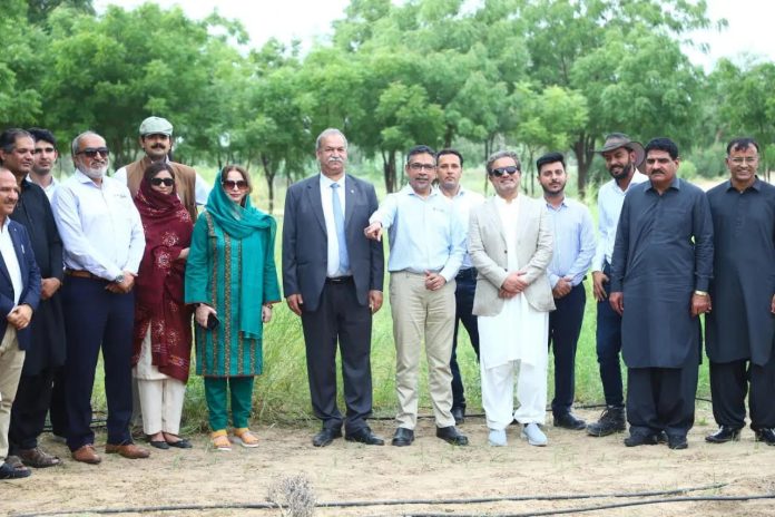 unnamed (8) Biodiversity