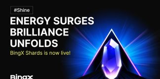 BingX Shards: A New Rewards Ecosystem for Enhanced User Engagement BingX Shards