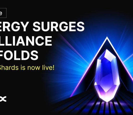 BingX Shards: A New Rewards Ecosystem for Enhanced User Engagement BingX Shards