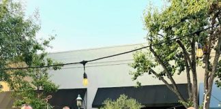 Datarocx-Data Vault AI Mega Partnership to Turn Pakistan into Regional AI Infrastructure Powerhouse Datarocx Data Vault