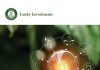 Lucky Investments Launches Shariah-Compliant Energy Fund as Pakistan’s Energy Sector Gains Momentum Lucky Islamic Energy Fund